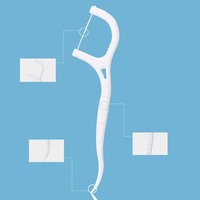 100 sztuk/partia jednorazowe Dental Flosser Interdental Brush zęby Stick wykałaczki Floss Pick Oral Gum zęby czyszczenia opieki TLSM 5